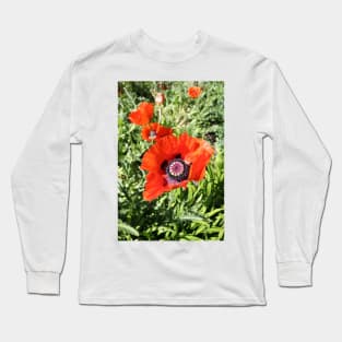 red poppies Long Sleeve T-Shirt